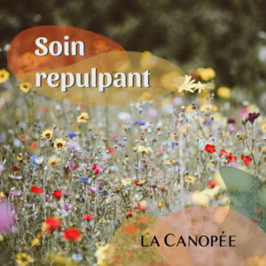 Soin anti-âge repulpant | 1h/1h15